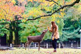 Ziua mondială a animalelor la antipa. Ziua InternaÈionalÄ A Animalelor Pe 4 Octombrie Cum A Luat NaÈtere Ziua Tuturor Animalelor Libertatea