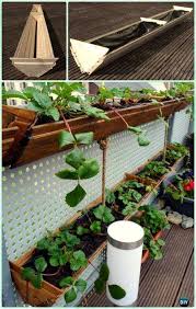 Make few holes in a whiskey barrel, fill it up with soil, and grow multiple strawberry plants in them to enjoy a bumper harvest in a limited space! Best Way To Grow Strawberries In Containers 2021 Family Food Garden