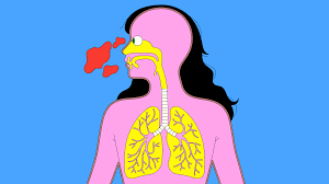 First, gender is not the only factor in power dynamics. From Bats To Human Lungs The Evolution Of A Coronavirus The New Yorker