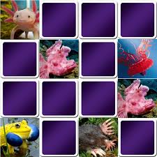 We did not find results for: Pin On Memory Games