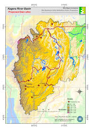 Image result for Peddiea rapaneoides