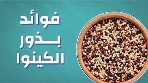 فوائد بذور الكينوا food condiments