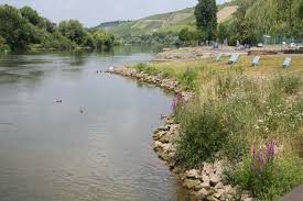 Randersacker comprises a total of six vineyards situated along the banks of the river main: Randersacker Landkreis Wurzburg