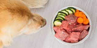 Often times a butcher shop has scraps and leftovers they are willing to sell for once the symptoms do subside, you and your dog can enjoy benefits to a raw diet for the rest of your dog's life. The Harmful Effects Of Feeding Your Dog A Raw Food Diet