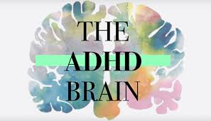 Adhd brains have low levels of a neurotransmitter called norepinephrine. Understanding The Scattered Adhd Brain