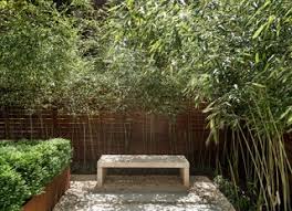 Feb 26, 2020 · use larger plants in containers that can be moved. How To Design A Minimalist Garden Architectural Digest