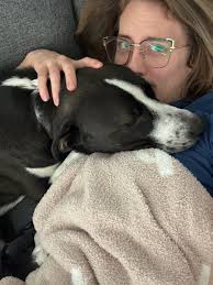 Repost/Price Drop Needing to rehome my sweet angel Ari, one of my newborn  twins is allergic to her and I can't keep her away from them.🥺 She's 1  year old, spayed, the