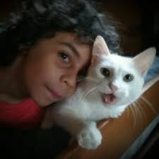 Santuario de Animales San Francisco de Asís, Inc.