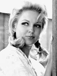 Janine Gray in Get Smart and Hogan's Heroes