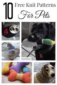 Please add this pattern to your ravelry favorites. 10 Free Knit Patterns For Pets