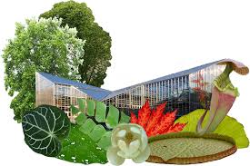 Willkommen Im Botanischen Garten Der Universitat Freiburg Botanischer Garten Botanischer Garten Freiburg Garten