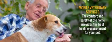 At the moment you can only add or delete appointments within the mobile app. The Visiting Vet Comprehensive In Home Pet Veterinary Care Professional Compassionate Veterinary Care For Every Phase Of Your Pet S Life