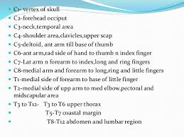 Myotome Testing Bismi Margarethaydon Com