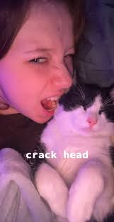 Haley (@haley.kehoe)