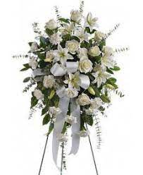 Maybe you would like to learn more about one of these? Arizona Florists Flowers Avas Flowers