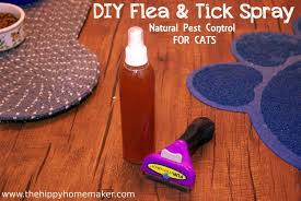 Diy Flea Tick Spray For Cats Natural Flea Tick Prevention For Cats Tick Spray Flea Prevention For Cats Flea Spray For Cats