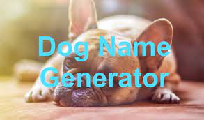 Check spelling or type a new query. Dog Name Generator Random Name Generators