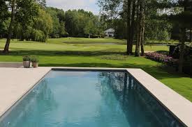 Aufgrund Des High Level Skimmersystems Besitzt Das Becken Einen Besonders Hohen Wasserstand Moderne Pools Pool Poolbau