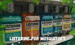 I can tear the leaves in half and rub the oils on my skin and not worry about the mosquitoes. Listerine For Mosquitoes Is It An Effective Bug Spray
