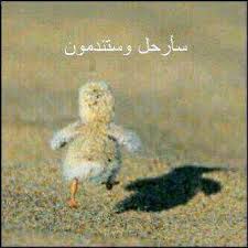 Image Result For سارحل وسوف تندمون Funny Pictures Arabic Funny Anime Lovers