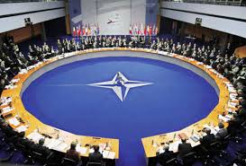 Image result for NATO forcat