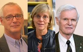 Anmälarnas egna ord om KI:s agerande