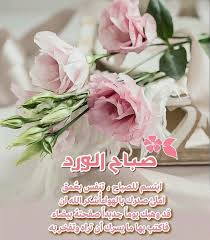 pin by mohamed bibani on صباحات ومساءات cute good morning morning wish morning images