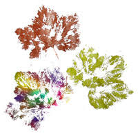 Kinder lassen ihrer kreativität freien lauf, wenn sie mit unseren anleitungen tiere, osterhasen, schultüten, weihnachtsmänner, weihnachtssterne oder muttertagsgeschenke basteln. Kostenlose Bastelanleitungen Zum Basteln Im Herbst Und Zu Halloween