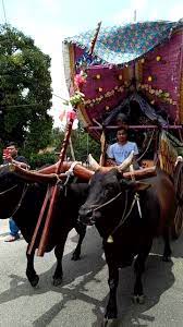 Niat mereka jelas untuk mengelirukan industri dan mendakwa secara terbuka bahawa mereka pengedar yang sah bagi pihak fgv dan mendakwa mereka pengedar eksklusif fgv. Kereta Lembu Untuk Di Sewa Postingan Facebook