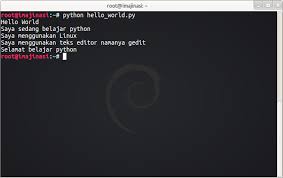 Hal pertama yang bisa kita lihat dari buku ini adalah kesederhanaannya. Belajar Pemrograman Python Pengenalan Dasar Python Dan Persiapan Awal