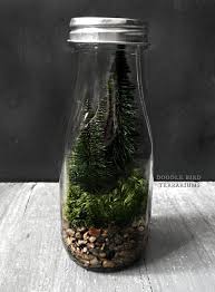 Milk Bottle Terrarium With Miniature Pine Trees Etsy Bottle Terrarium Mini Garden Miniature Garden