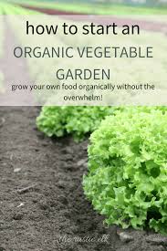 Growing your own organic vegetables is a great way to ensure you have healthy foods for your favorite recipes. How To Start An Organic Vegetable Garden Organic Gardening Tips Organic Vegetable Garden Growing Vegetables