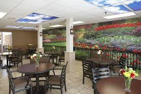 Nursing Home Cafeteria Wall Mural 8ft X 36ft