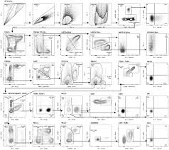 Design And Optimization Protocol For High Dimensional