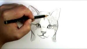 Free Cute Cat Face Drawing, Download Free Clip Art, Free Clip Art ...