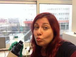 cancer research lab in Nantes