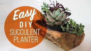 Carefully fold over the edge of the can to make a smooth top. Diy Succulent Planter Youtube