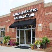 Exotic veterinarian in raleigh, nc for all kinds of companions. Avian And Exotic Animal Care Raleigh Nc Alignable