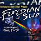 Fabulous Armadillos Present Floydian Slip: Tribute to Pink Floyd
