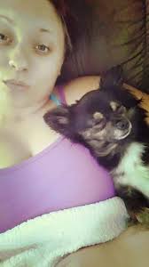 Found: two elderly chihuahuas