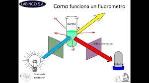 A complementary technique is absorption. Espectrofotometro De Fluorescencia Youtube
