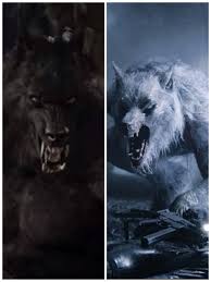 Van Helsing Werewolf Vs Willam Underworld Who Would Win Werewolves Ищете van helsing werewolf стикеры?