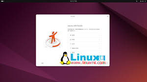 Ubuntu 24.04 LTS 发布，全球最受欢迎的Linux 桌面系统- Linux迷