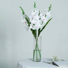 Image result for Gladiolus decoratus
