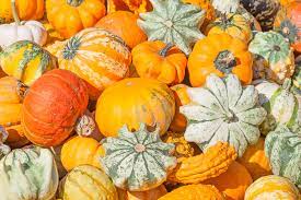 We did not find results for: It S Thanksgiving In The Us Today Celebrations And Origins Of The National Holiday