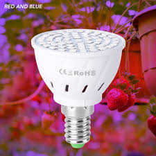 The lamps produce bright light consistently. Full Spectrum Led Grow Light E27 E14 B22 Gu5 3 Mr16 Gu10 Led For Plants Light Bulb Growth Lamp 220v Greenhouse Growing Tent Box Buy At The Price Of 2 38 In Aliexpress Com
