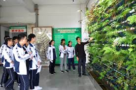 Image result for Sinopteridaceae