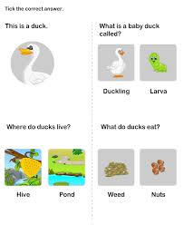 As your kindergarten kid learns the five senses, use this worksheet to help her associate new words with different tastes. Worksheets Summer School Science Science Worksheets Science For Kids