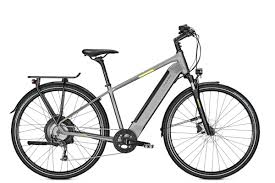 Raleigh Stanton 9 In 2020 Trapez Rad Drive