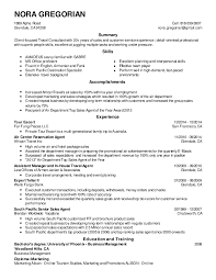 nora gregorian resume travel consultant